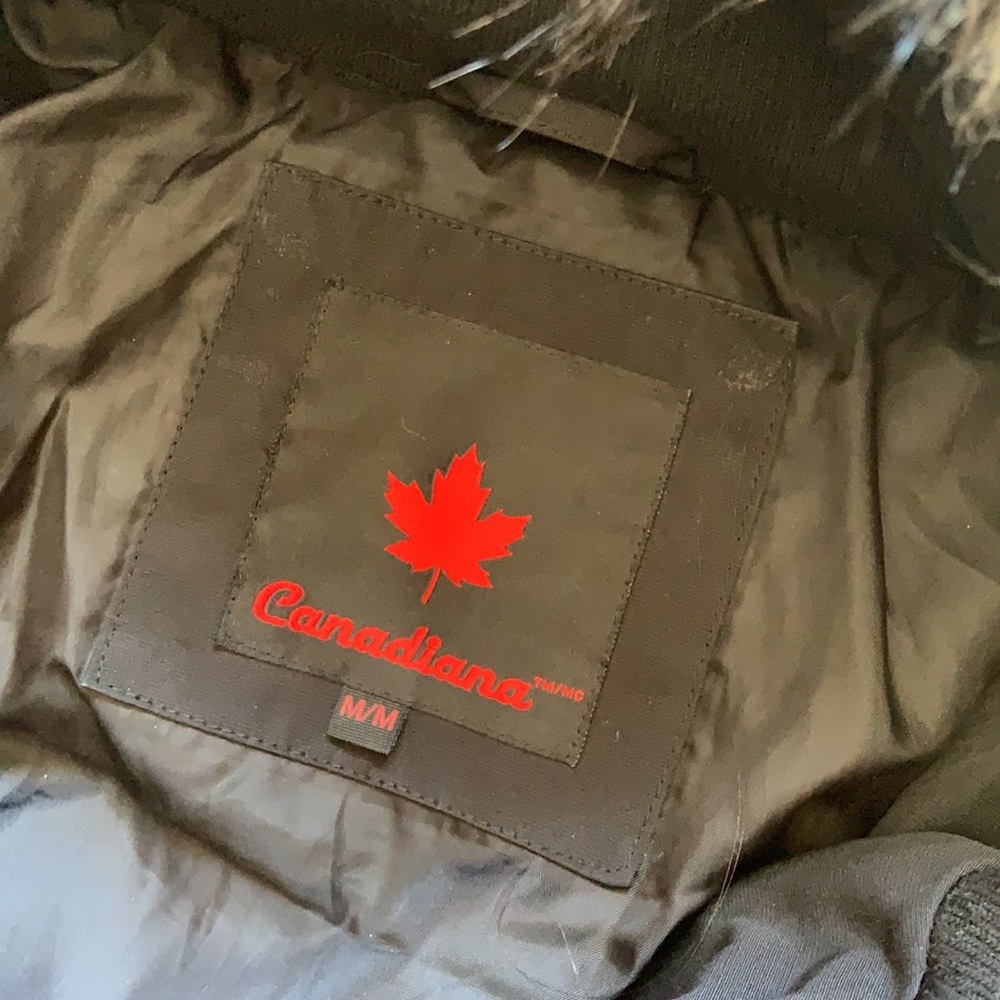 Bomber Jacket - Picture 2 of 7